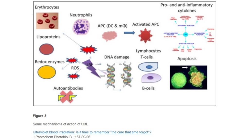 A chart o f some mechanisms of action of UBI